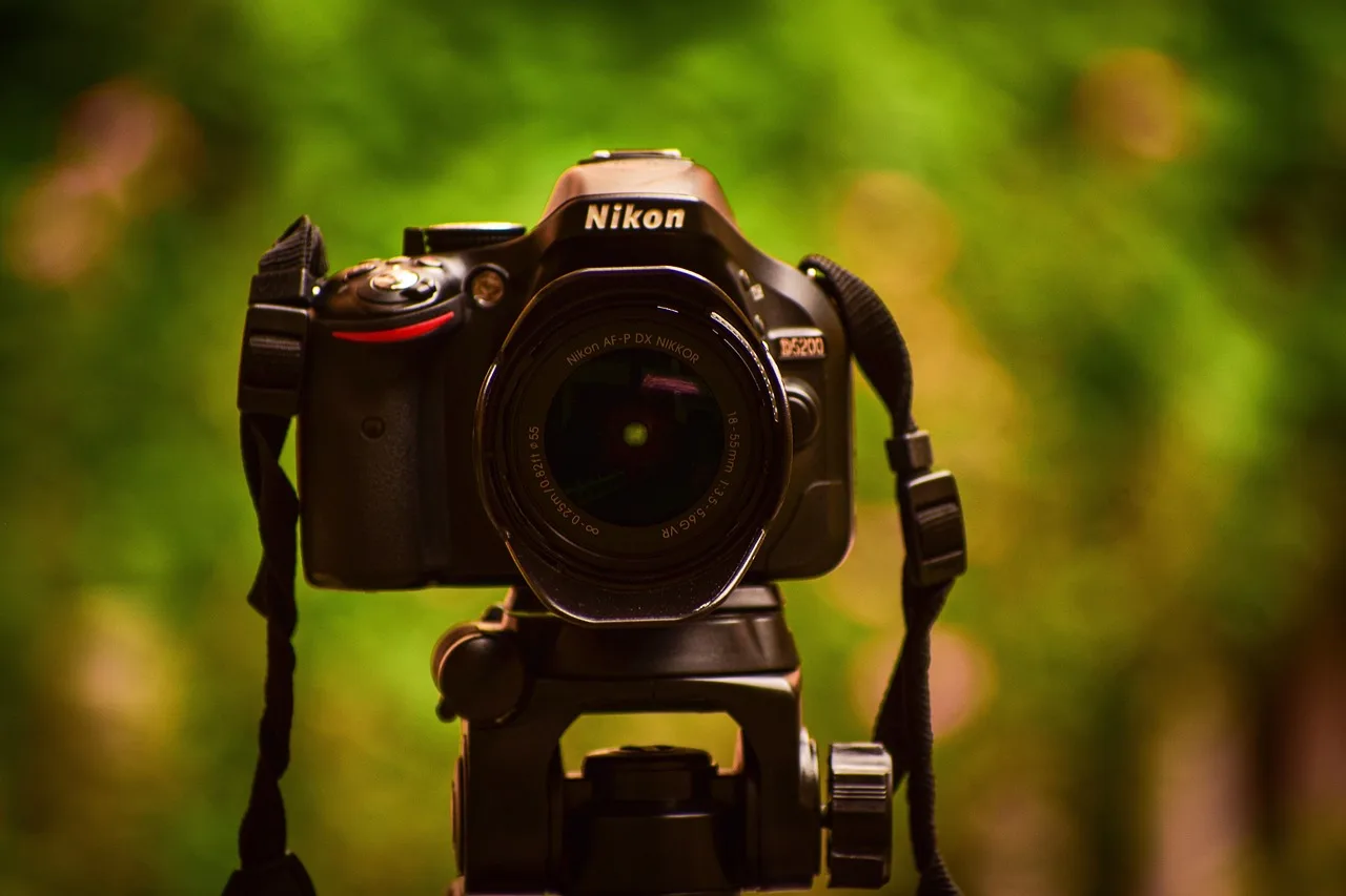 camera, dslr, lens, tripod, focus, nature, photography. Getting UGC creator content formats right the first time