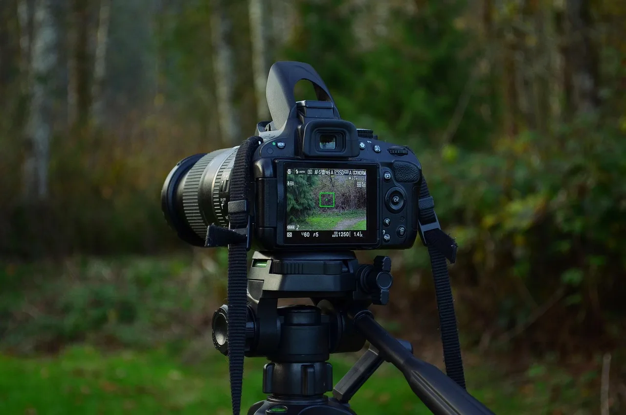 camera, camera gear, film, nature, equipment, photography, photographer, picture, tripod, woods, forest. UGC creator content ideas: the ones with staying power