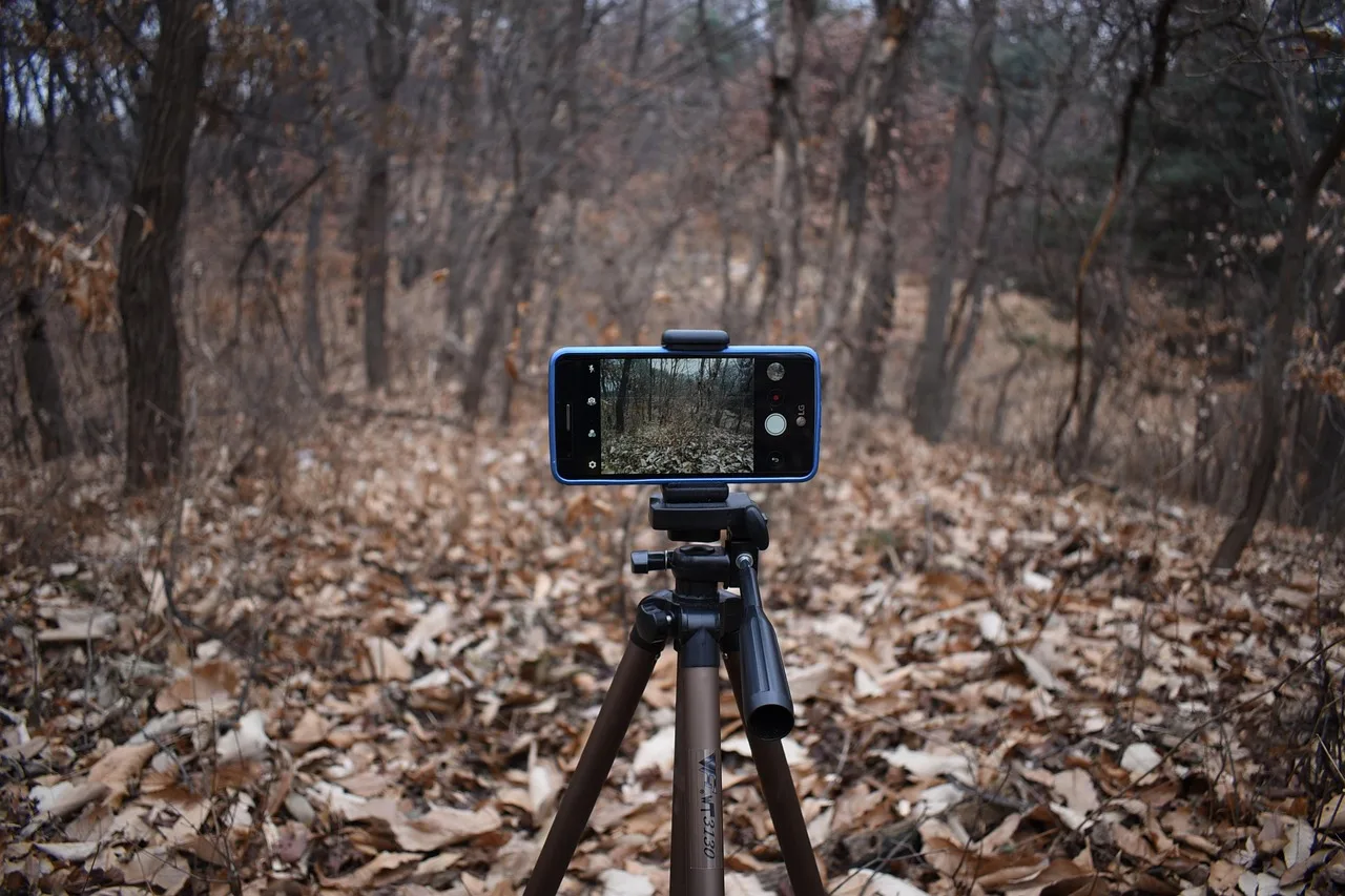 smartphone, camera, photo, video, filming, cell phone, tripod, movie, shooting, tripod, tripod, tripod, tripod, tripod. UGC creator platforms: three to shortlist and the terms to confirm first