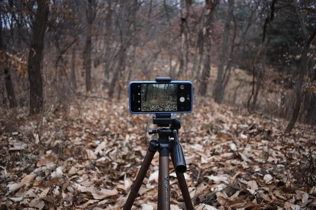 smartphone, camera, photo, video, filming, cell phone, tripod, movie, shooting, tripod, tripod, tripod, tripod, tripod. UGC creator platforms: three to shortlist and the terms to confirm first
