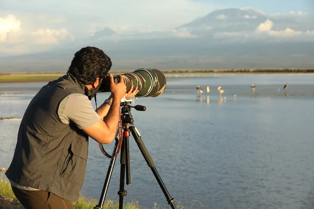camera, lens, photographer, technology, filming, worker, wildlife, national park. UGC creator production setup as practitioners see it
