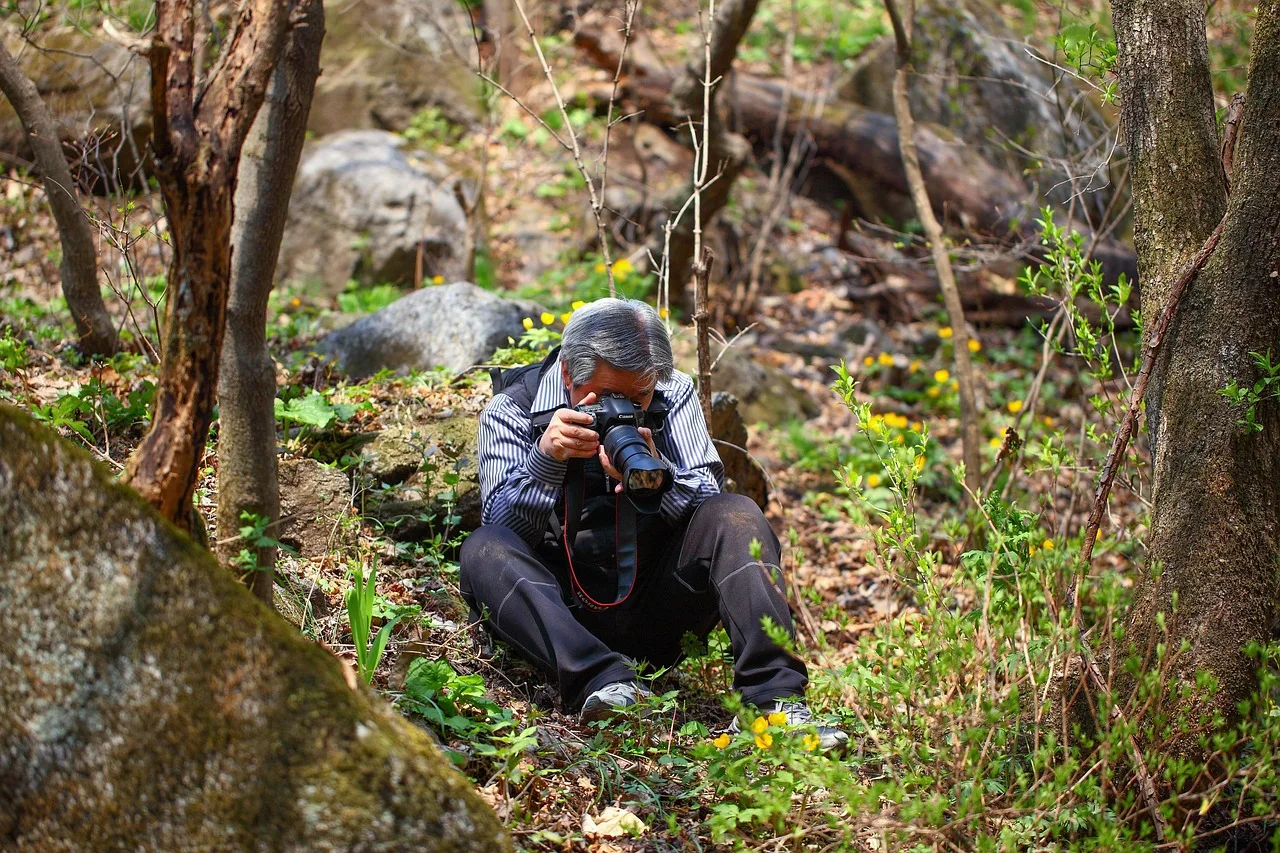 tree, nature, research, mountain, photographer, filming, camera, republic of korea, observe, landscape. UGC creator production workflow: roles, disclosure, claims, and usage rights