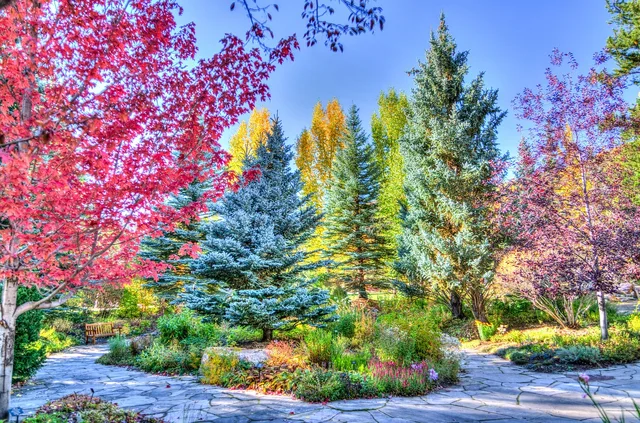 vail, colorado, forest, foliage, nature, usa, travel, landscape, scenery, outdoor, autumn, park, trees, autumnal, flora, fall, colorado, colorado, colorado, colorado, colorado, scenery. How US climate and seasonality shape UGC content calendars in the Midwest